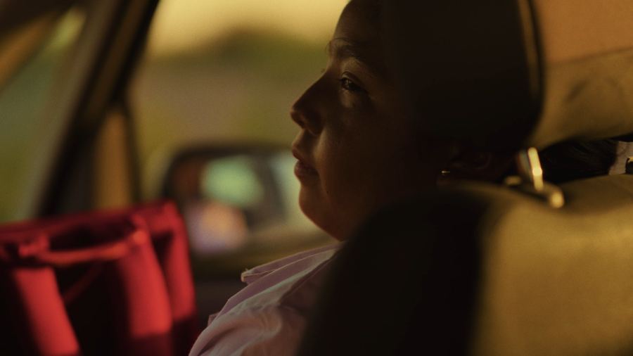 A woman looking out of a car window at dusk